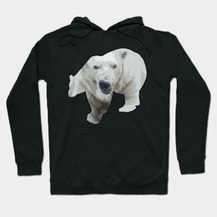 polar bear design Hoodie